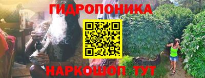 круглые Будённовск