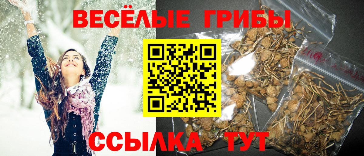 Галлюциногенные грибы ЛСД Сочи
